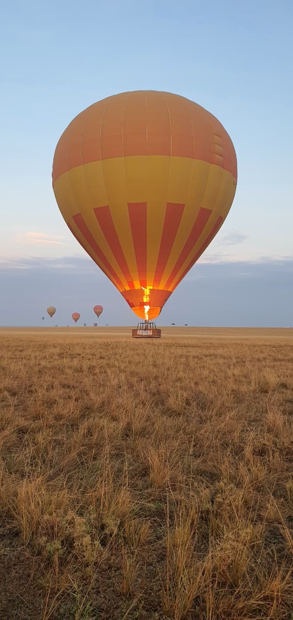 A hot air balloon aloft over open dry grassland at dawn with more balloons small on the horizon
