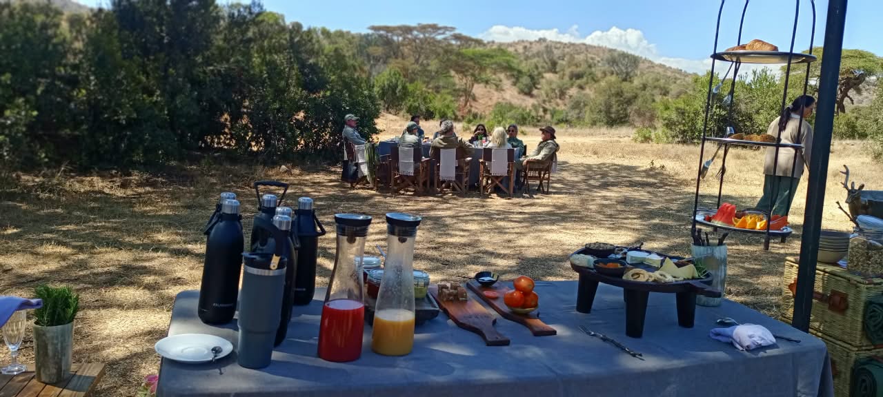 A bush breakfast laid out on a long table in the open, with flasks, juices and a cheese board in the foreground and guests eating at a table under acacias behind