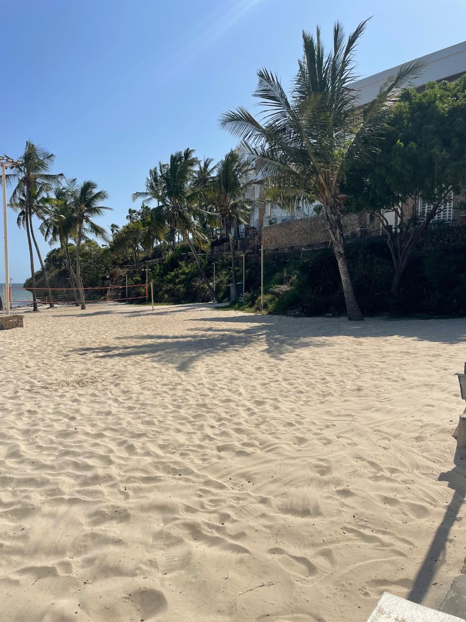 White sand fringed with coconut palms on the edge of the beach
