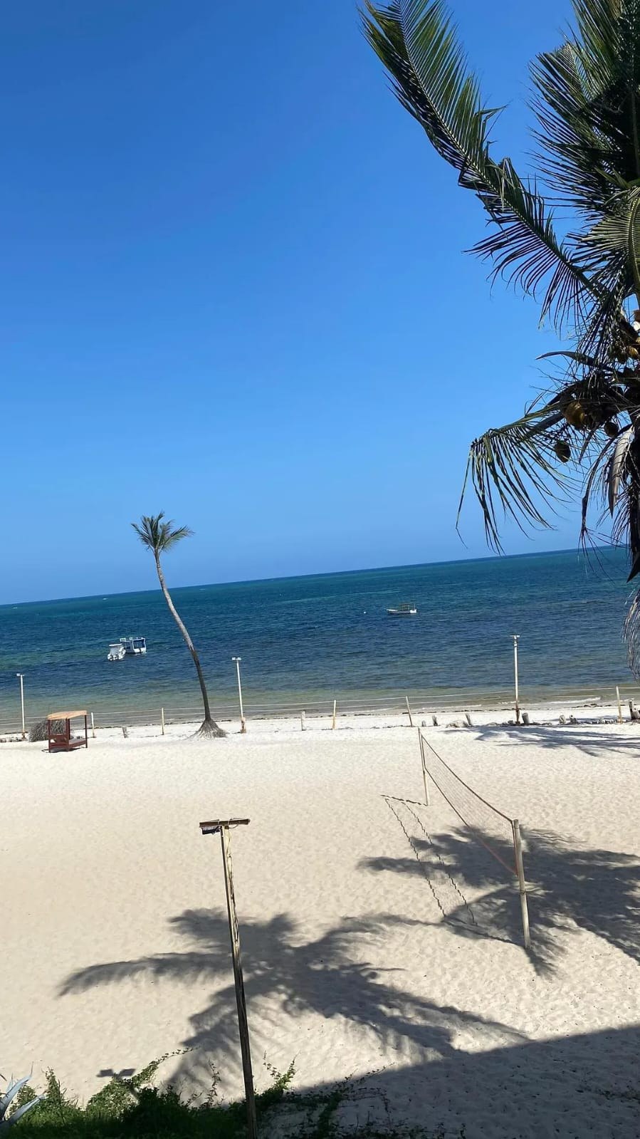 A white sand beach with a leaning palm tree and small boats moored offshore