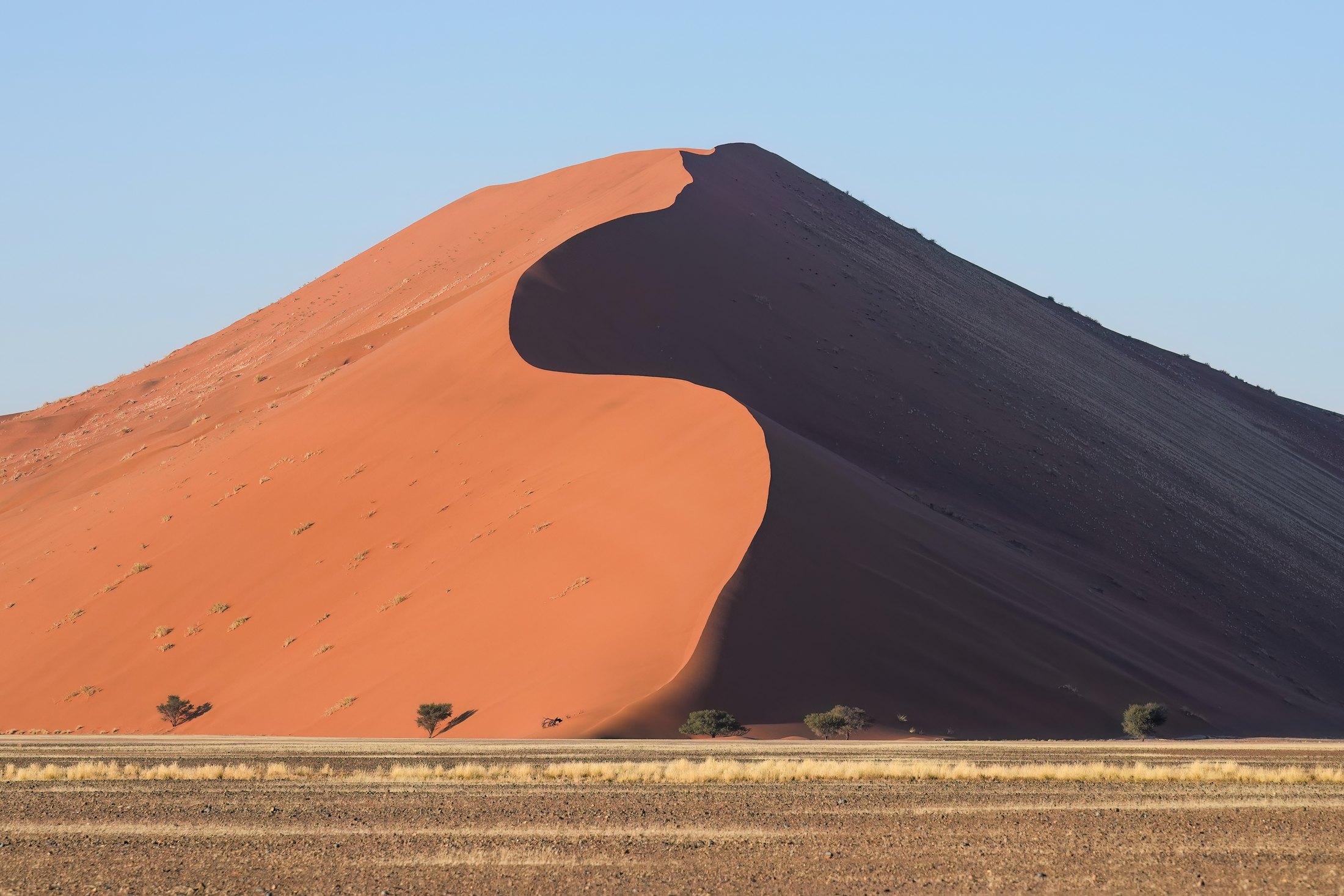 The crest of a tall red dune at Sossusvlei catching low sunrise light
