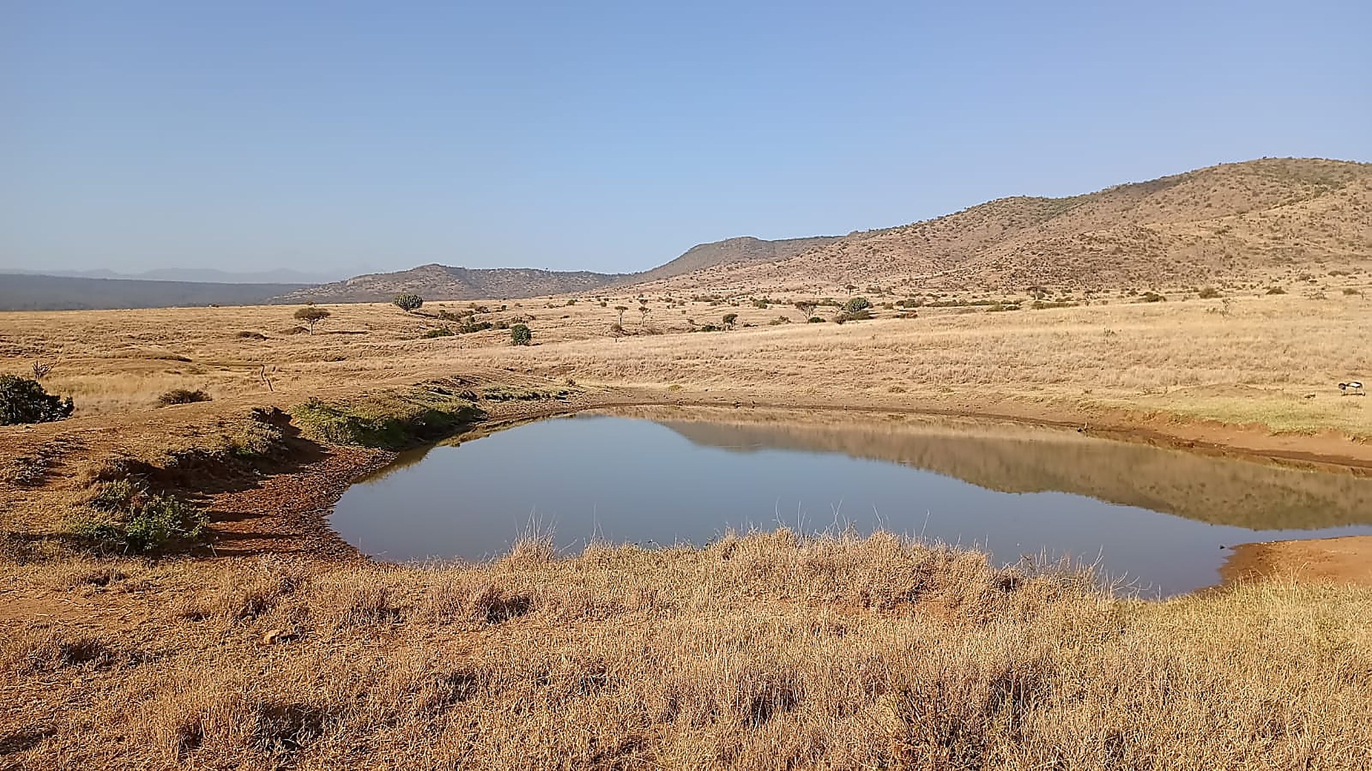 A still waterhole reflecting a pale sky, ringed by dry grass and distant hills